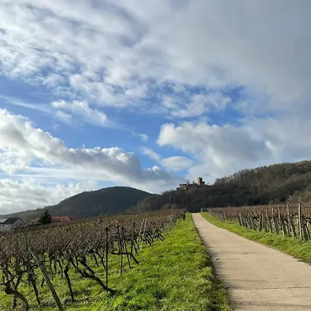 Ferienwohnung Mit Burgblick Klingenmünster