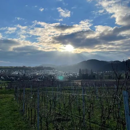 Ferienwohnung Mit Burgblick Klingenmünster