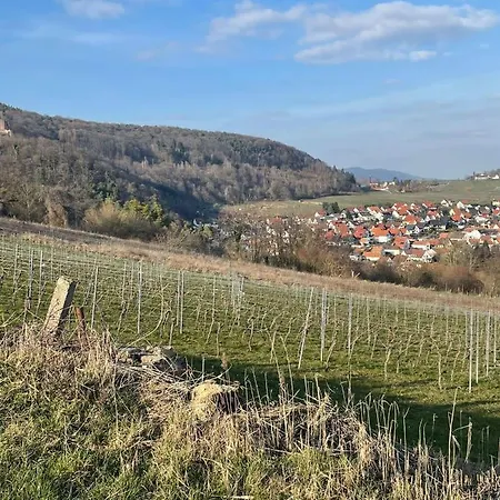 Ferienwohnung Mit Burgblick Klingenmünster