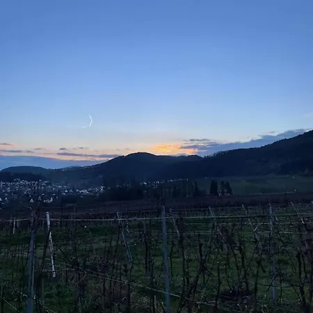 Ferienwohnung Mit Burgblick Appartamento *